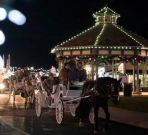 horse drawn carriage rides